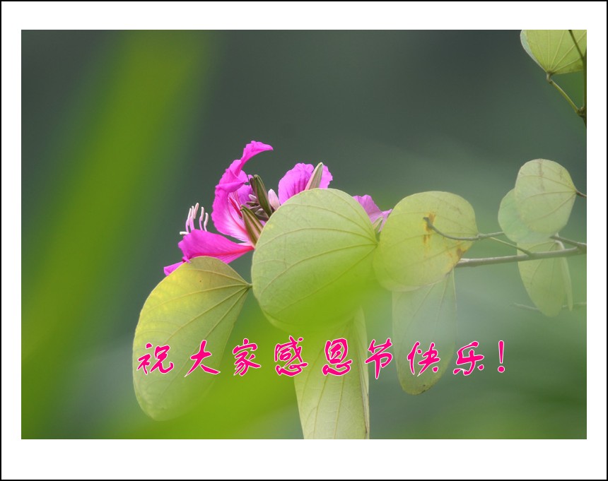 DSC_0674_conew3.jpg