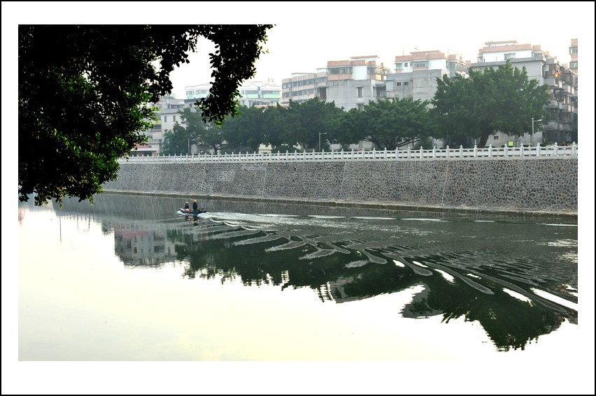 DSC_4907_conew1.jpg