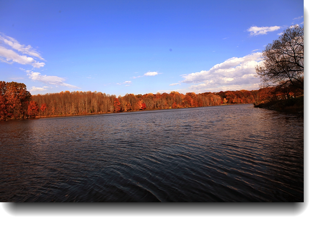 IMG_0207a.jpg