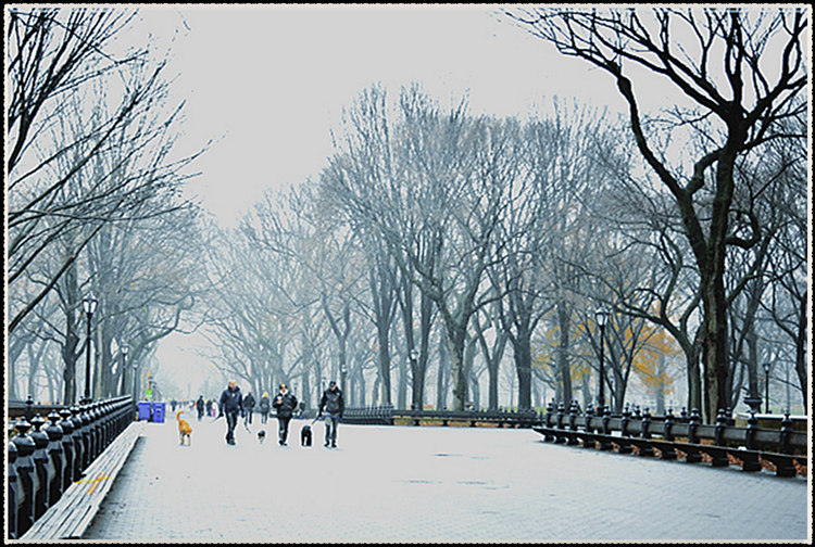 _DSC4175.jpg