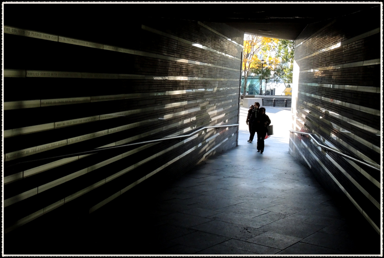 DSCN9615.jpg