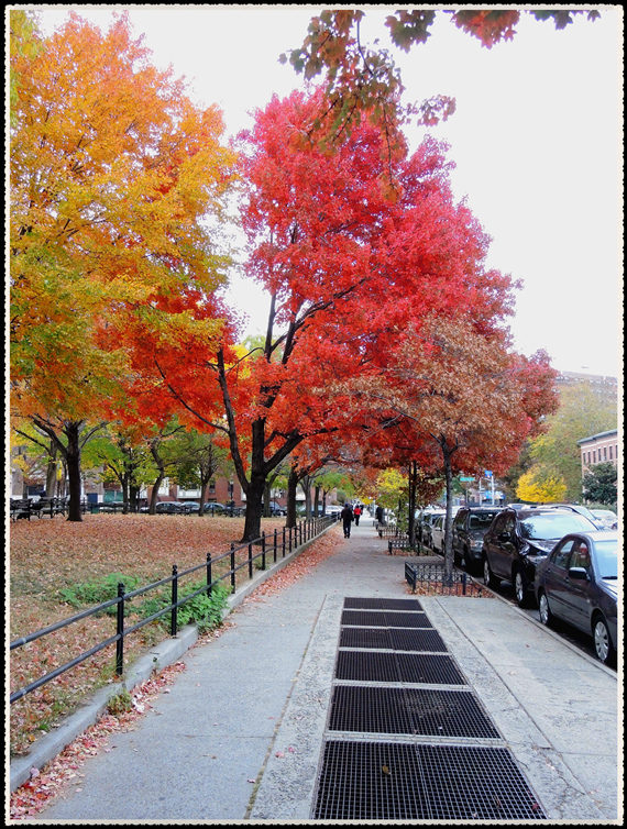 DSCN9863_����.jpg