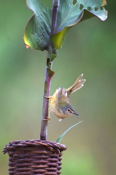 DSC_8087.jpg