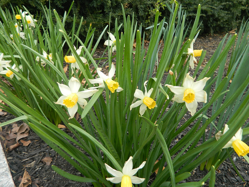 004 262_.jpg