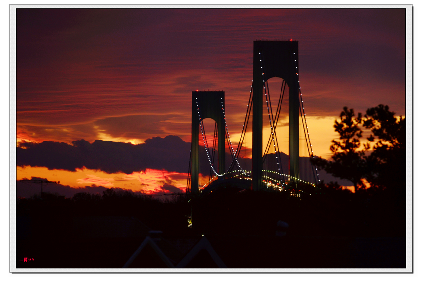 DSC_5081.jpg