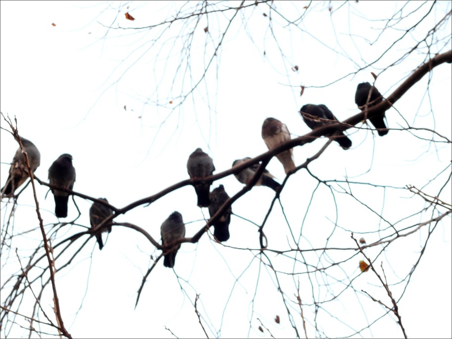 l1130550_conew2.jpg