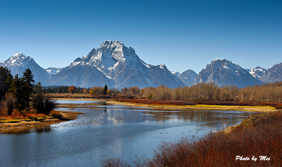 2_35102_e0b8ae753f033ed[1].jpg