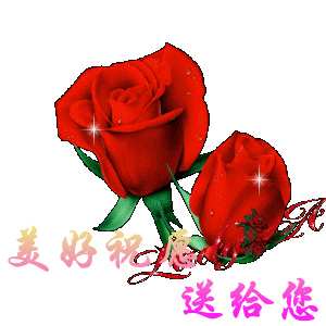 QQͼƬ20131115154154.gif