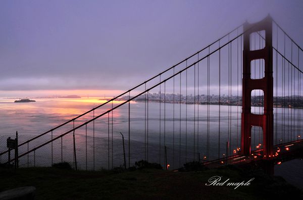 DSC_4154_01_����.jpg