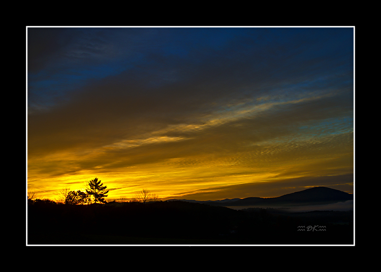 DSC_0269C.jpg