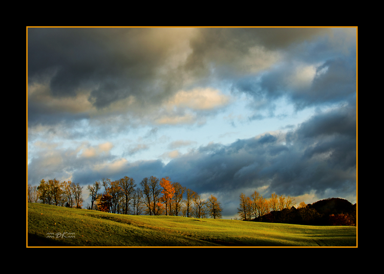 DSC_9878C1.jpg