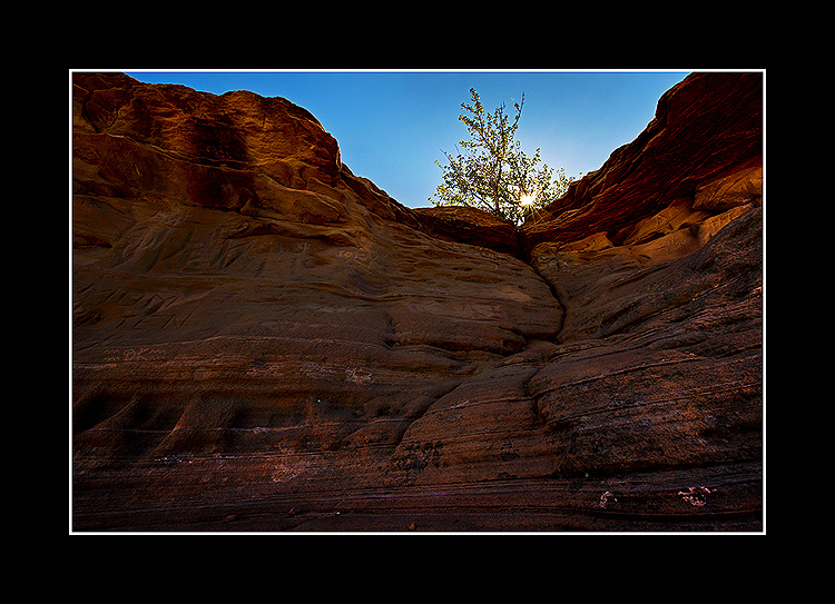 DSC_2964C1.jpg