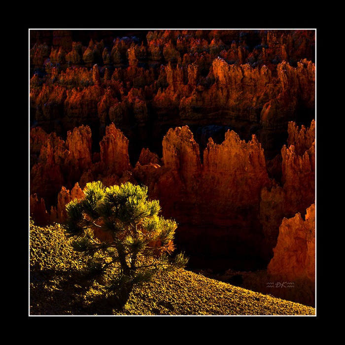 DSC_4099C.jpg