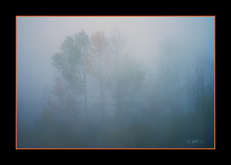 DSC_0065C1.jpg
