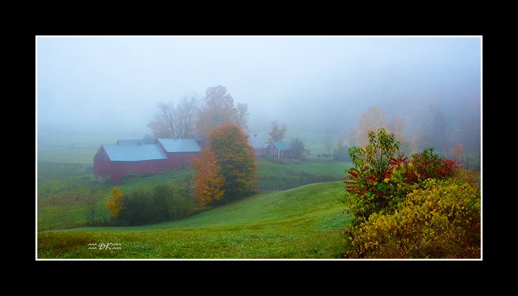 DSC_9761C1.jpg
