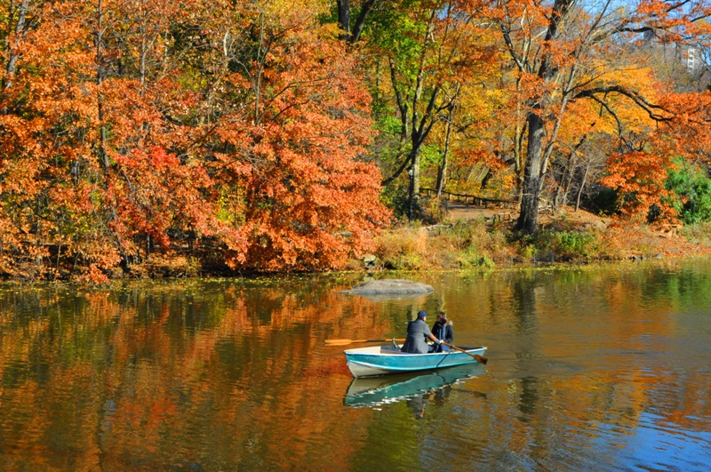 DSC_0320.jpg