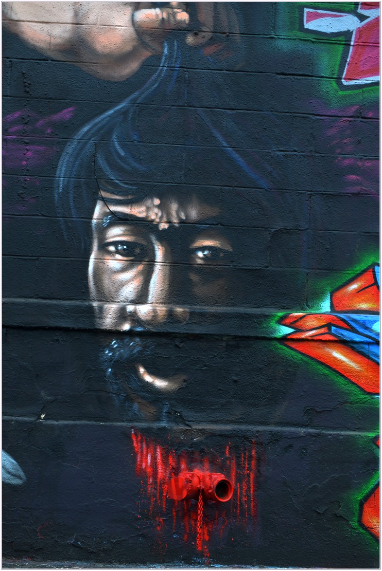 DSC_6395.jpg