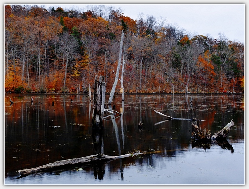 DSC_4873_1.jpg