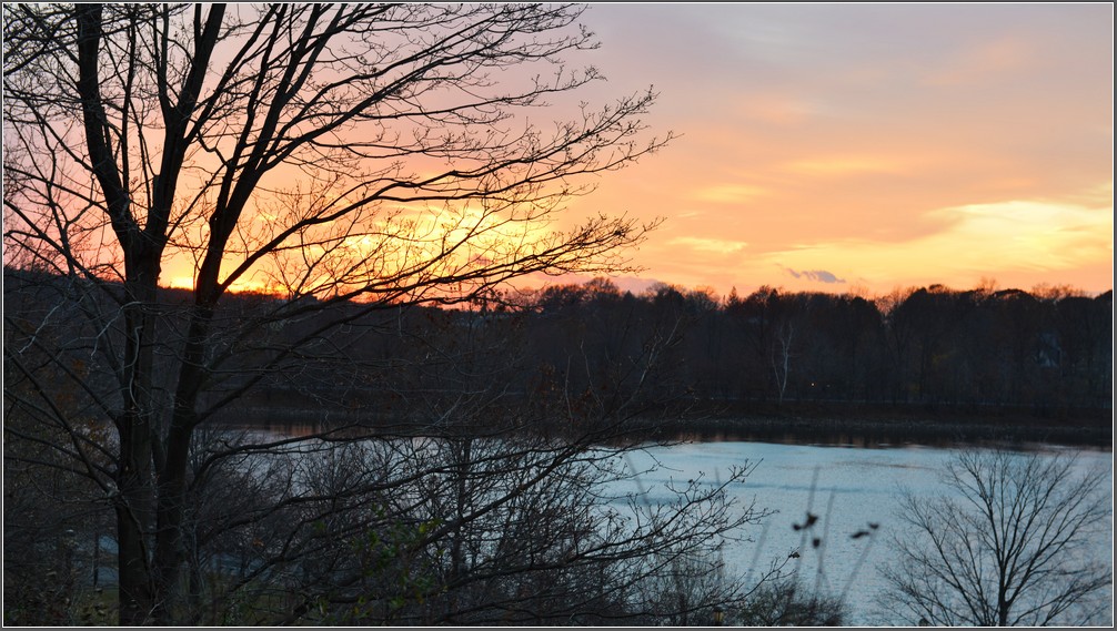 DSC_6602.jpg