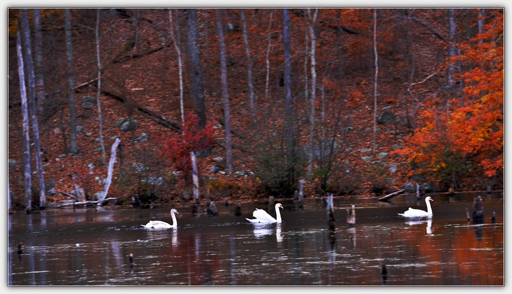 DSC_4935.jpg