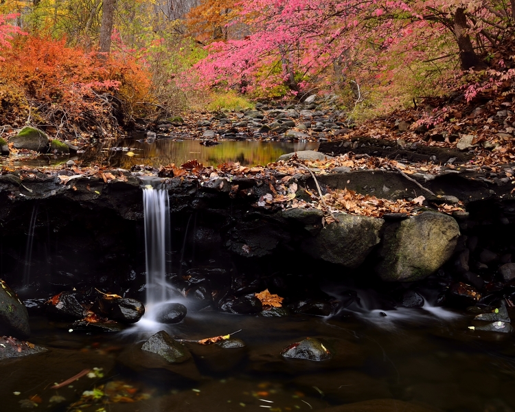 _DSC6737_01.JPG