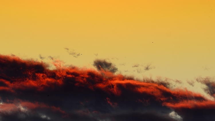 _DSC6972_01.JPG