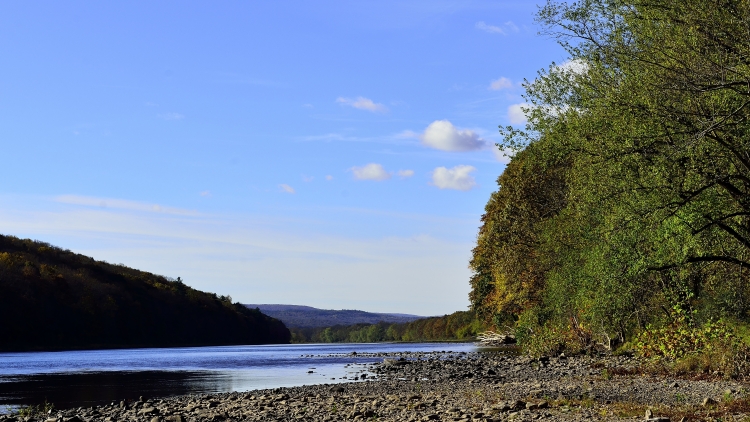 _DSC6306_01.JPG