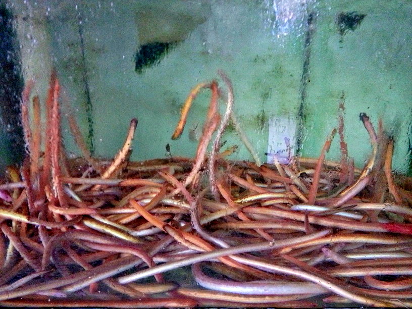 20131110_105901.jpg