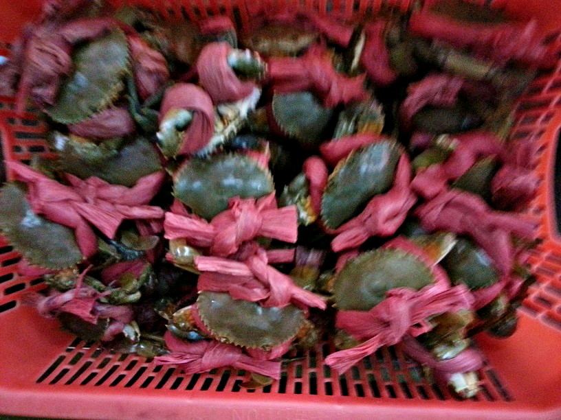 20131110_105822.jpg