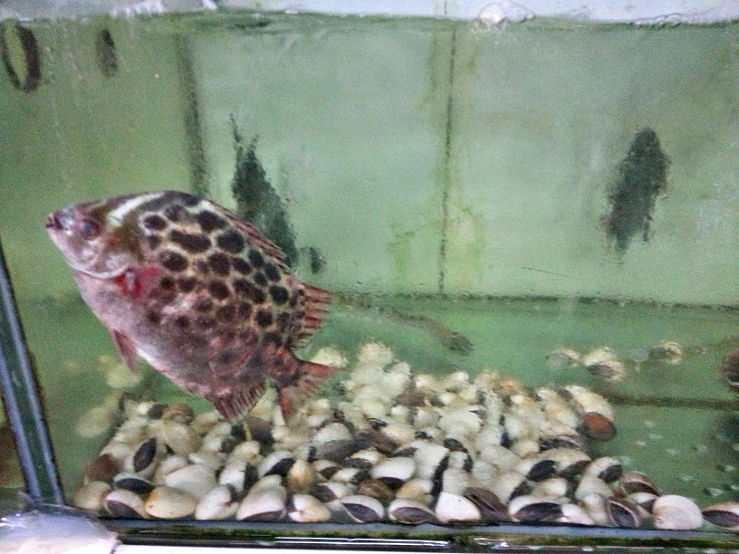 20131110_105847.jpg