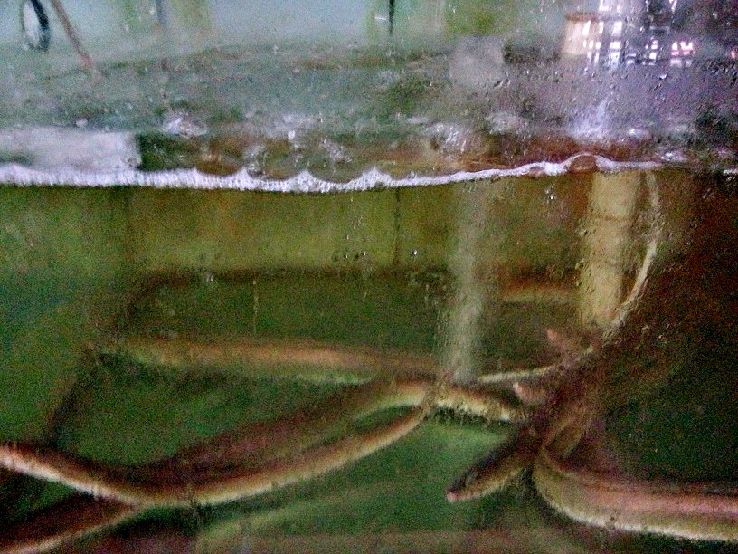 20131110_105913.jpg