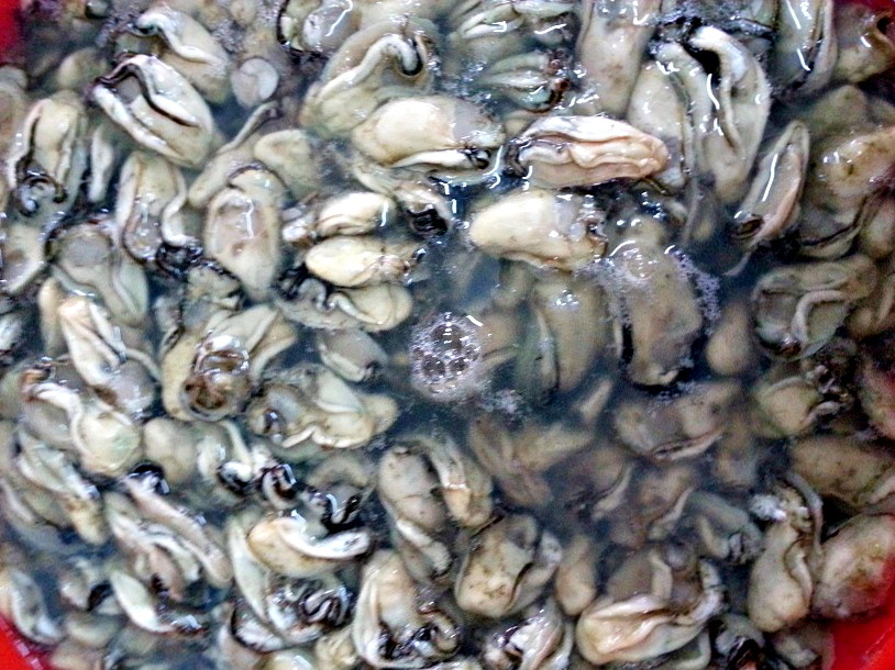 20131110_113223.jpg