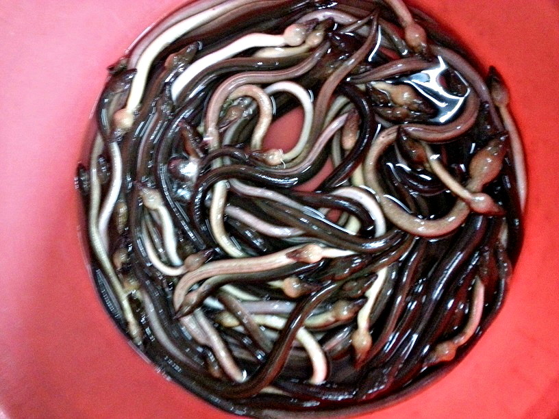 20131110_105756.jpg