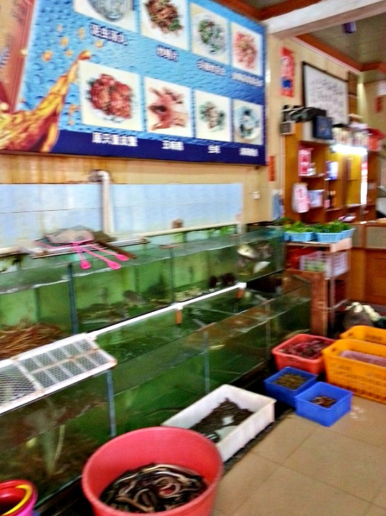20131110_110127.jpg
