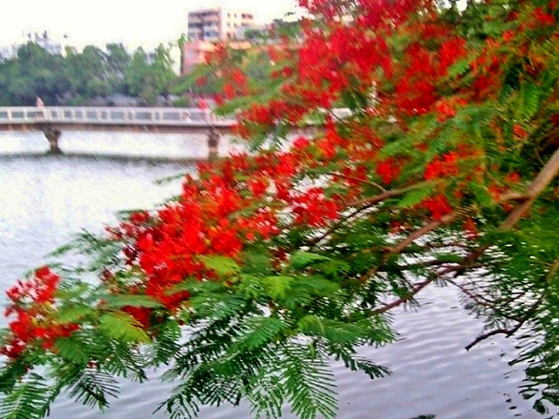 Ƭ-0004.jpg