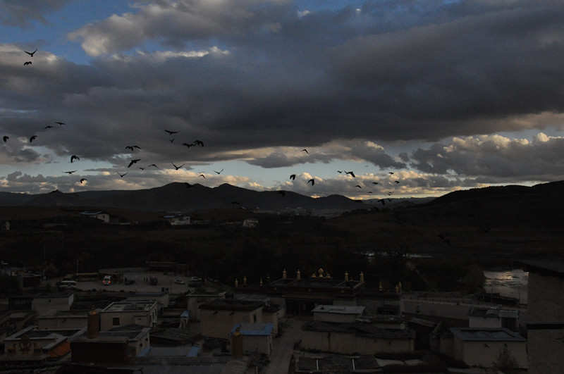 DSC_5723_.jpg
