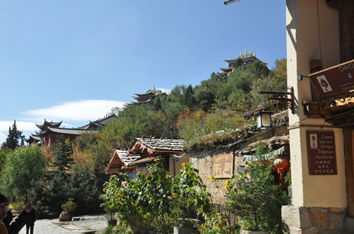 DSC_5540__.jpg