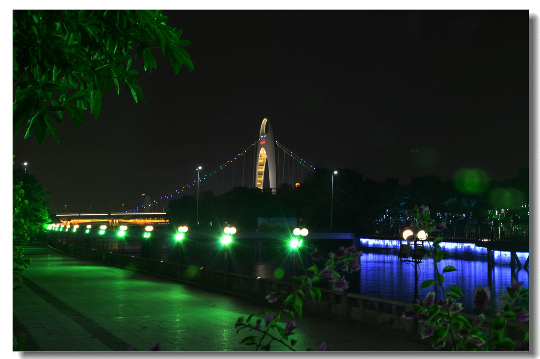 DSC_2969.jpg