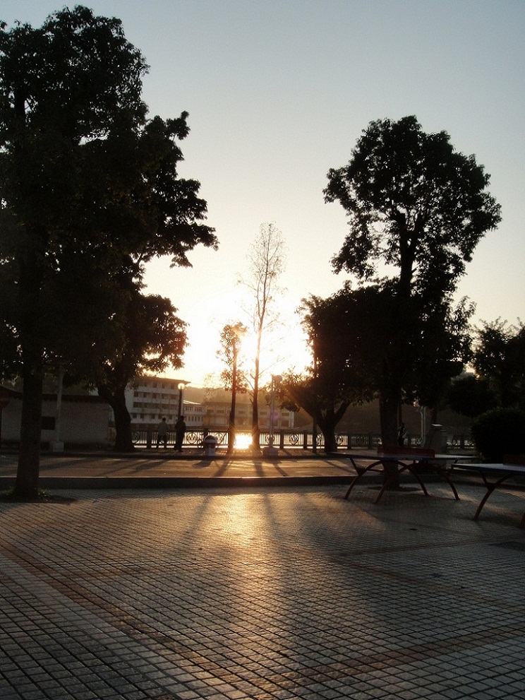 DSC09853_.jpg