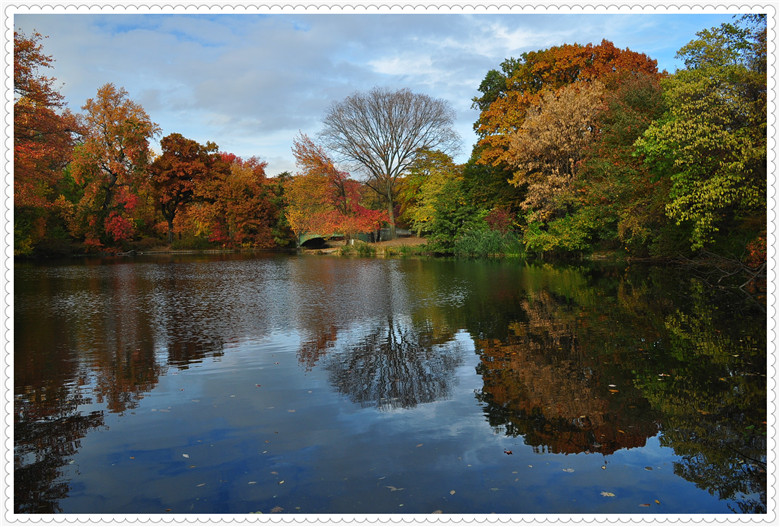 DSC_0311 - Copy.jpg