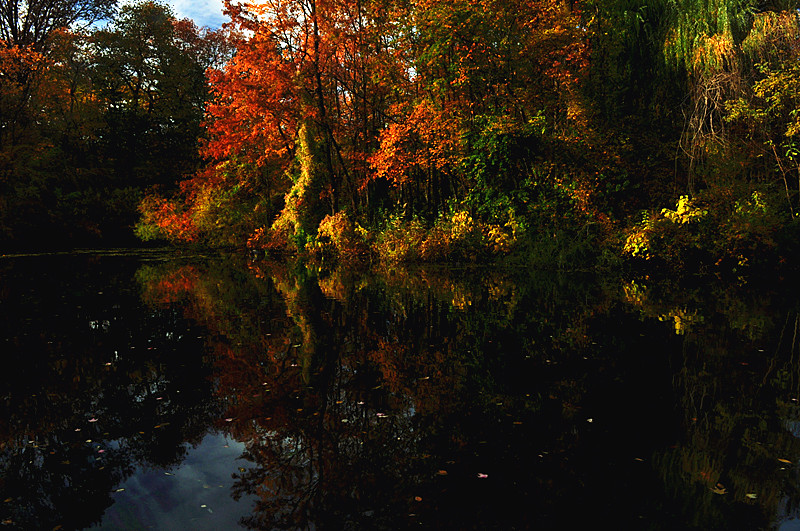 DSC_0332_����.jpg