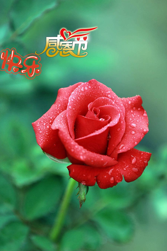 59_35824_a3c6b3adbe81073_副本.jpg