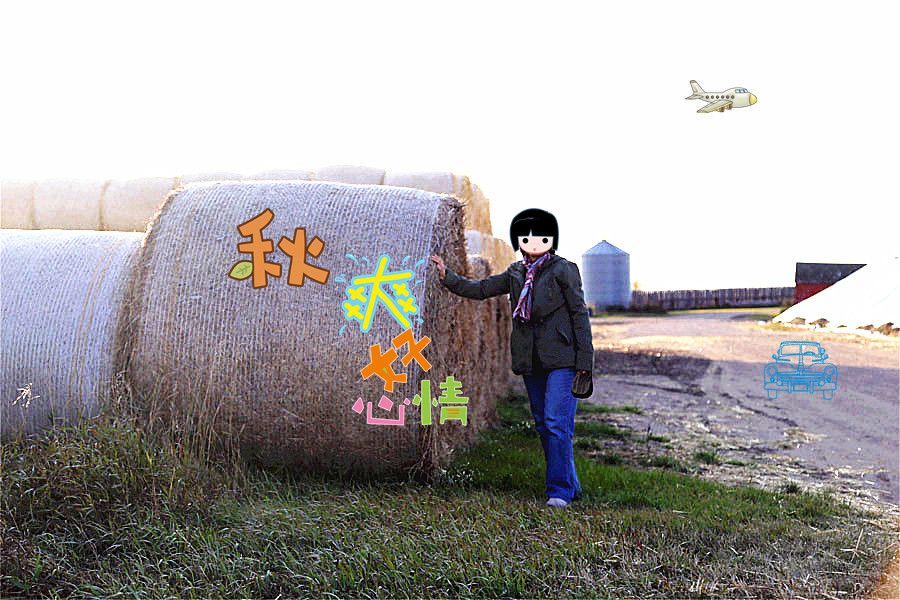 59_33881_3b8ca213429487f_副本.jpg