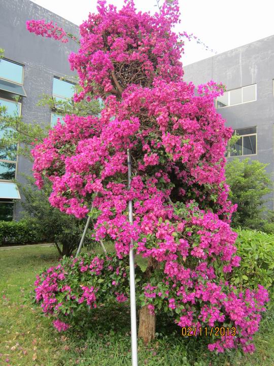 ת IMG_5877.JPG