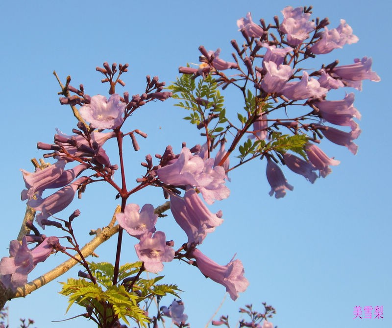 0IMG_5127_conew1.JPG