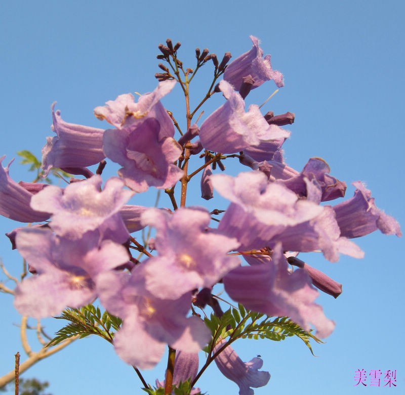 0IMG_5121_conew1.JPG
