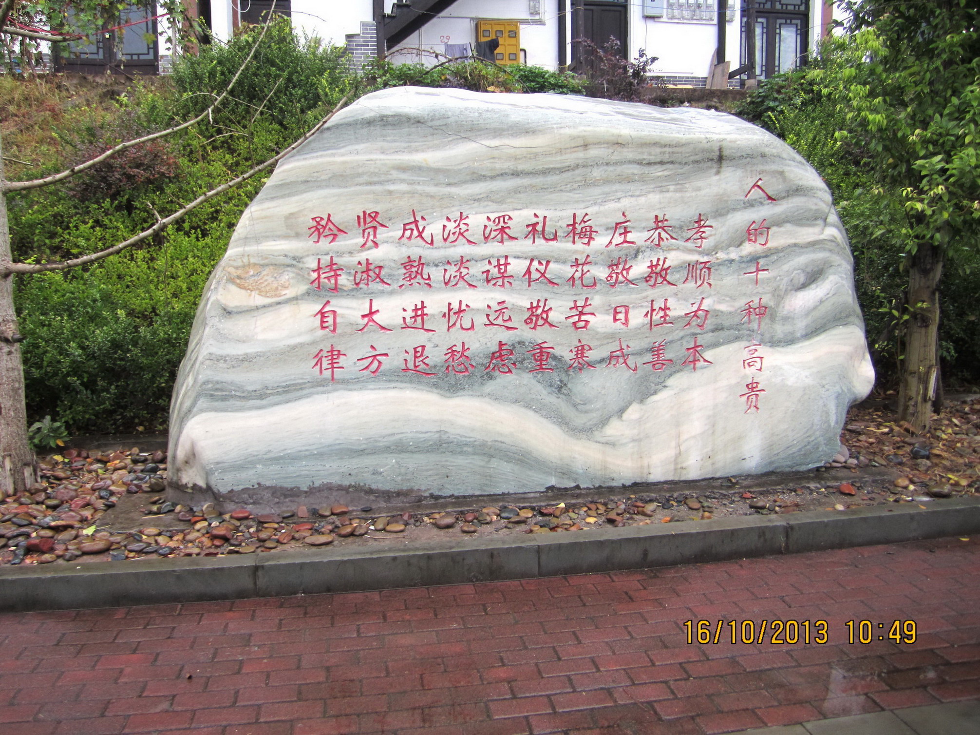 IMG_4931.JPG