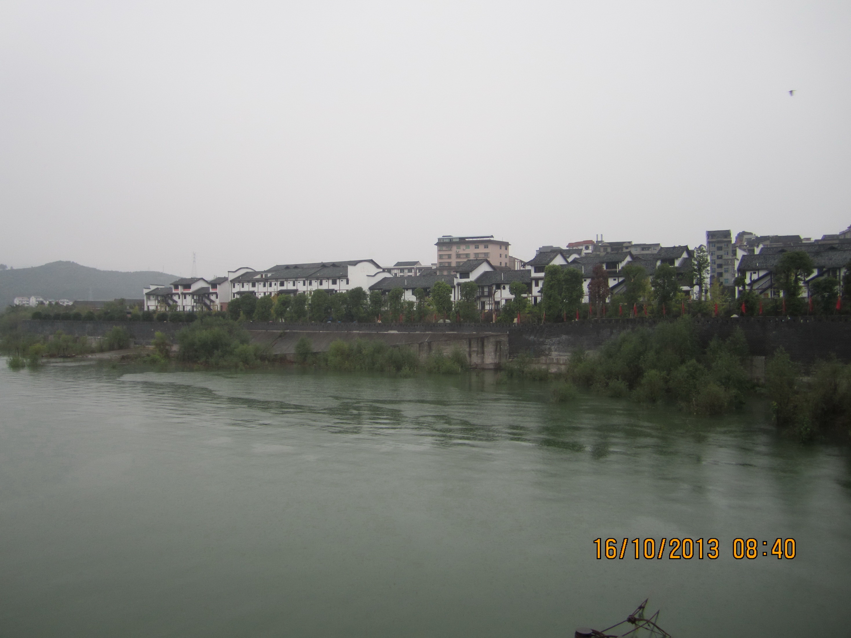 IMG_4898.JPG