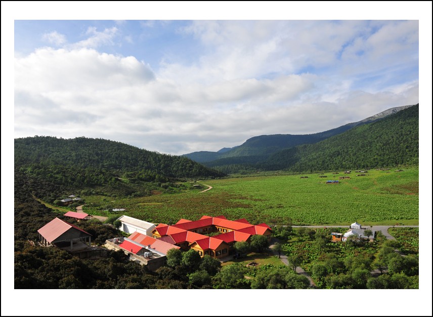 DSC_8164_conew1.jpg