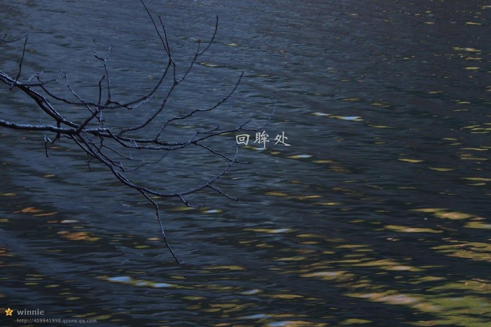 1115.jpg